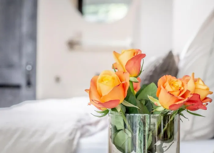 Petite Maison Apartamento